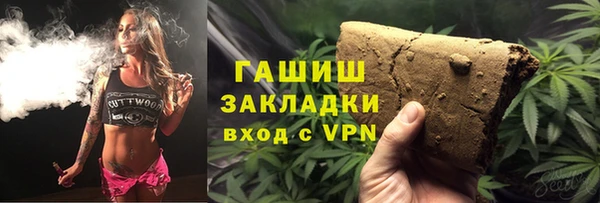 гашик Ладушкин