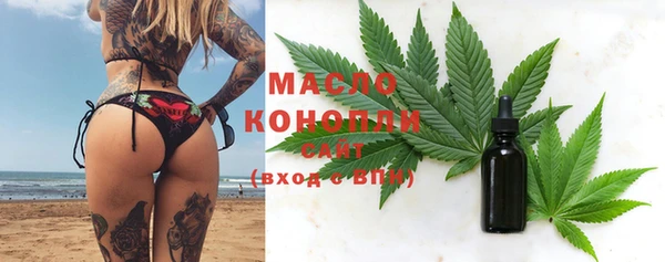 гашик Ладушкин