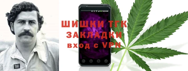 гашик Ладушкин