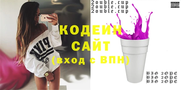 гашик Ладушкин