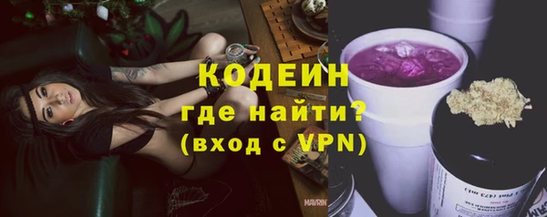 гашик Ладушкин