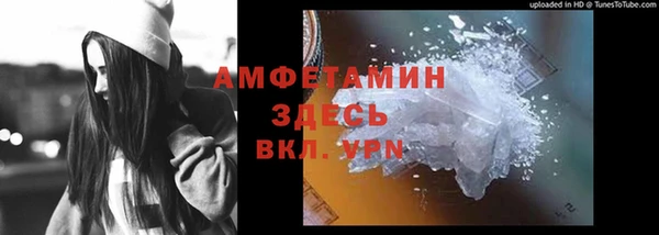 трава Лабытнанги