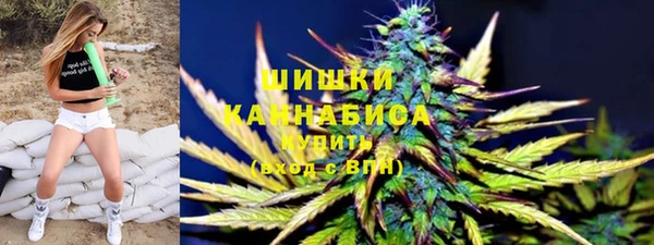 трава Лабытнанги