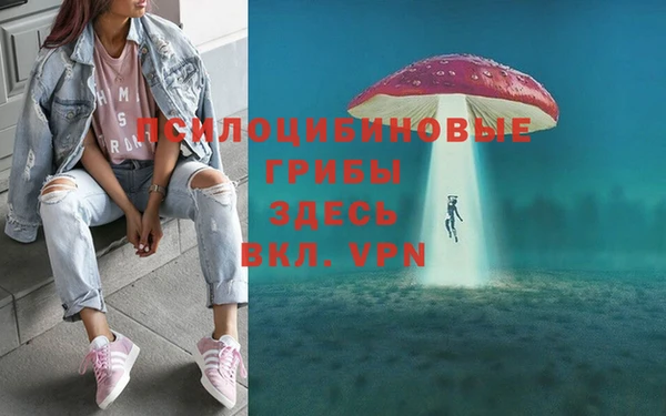 трава Лабытнанги