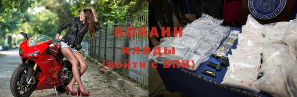 гашик Ладушкин