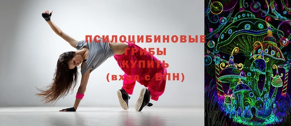 гашик Ладушкин