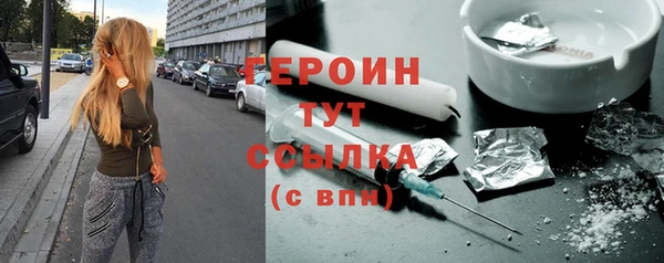 гашик Ладушкин