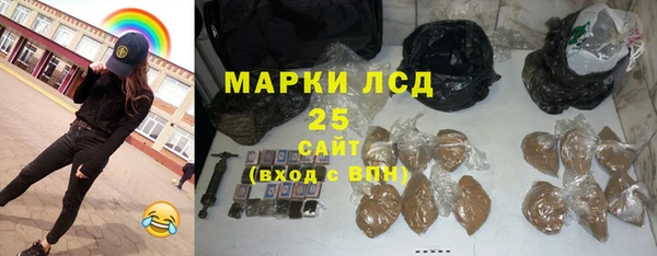 гашик Ладушкин